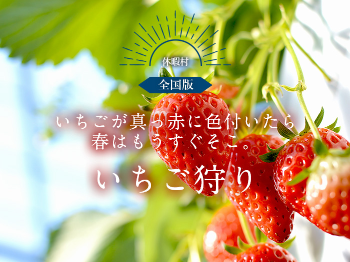 いちごが真っ赤に色付いたら春はもうすぐそこ。いちご狩り