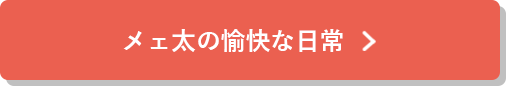 メェ太の愉快な日常はこちら