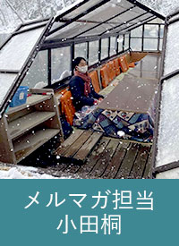 メルマガ担当 小田桐