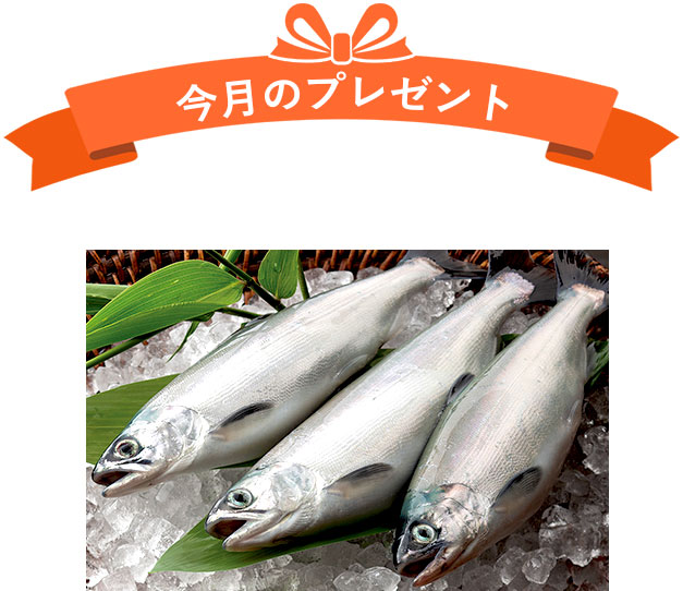 今月のプレゼント