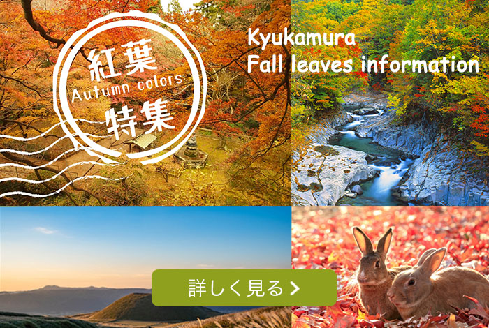 紅葉特集 詳しく見る