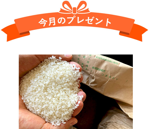 今月のプレゼント