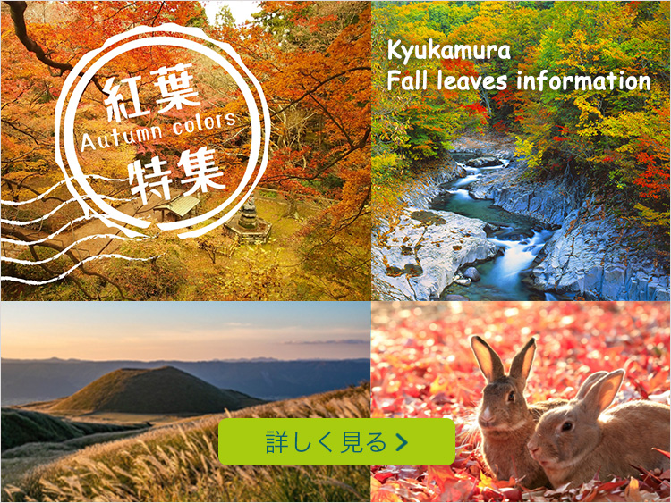 紅葉特集 詳しくはこちら